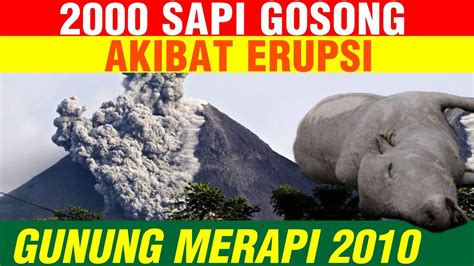 kisah letusan gunung merapi 2010